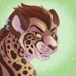 2019 ambiguous_gender anthro bunsanity_(artist) cheetah ear_piercing ear_ring fangs felid feline fur green_background hi_res king_cheetah looking_at_viewer mammal markings piercing ring_piercing side_view simple_background smile solo sparkles spots spotted_body spotted_fur tan_body tan_fur teeth yellow_eyes
