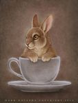  ambiguous_gender brown_eyes cup dark_natasha fur lagomorph mammal plate rabbit sitting small solo 