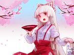  alcohol blush cherry_blossoms chi_(marooner2) cup fujiwara_no_mokou hair_ribbon hime_cut long_hair red_eyes ribbon sakazuki sake silver_hair solo suspenders touhou very_long_hair 