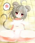  ahoge anger_vein animal_ears bad_id bad_pixiv_id blush breasts censored convenient_censoring greatmosu looking_at_viewer medium_breasts mouse_ears mouse_tail nazrin nude red_eyes short_hair silver_hair solo speech_bubble spread_legs steam tail touhou 