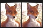  2012 amber_eyes black_nose canine close-up fox looking_at_viewer male orange_eyes orange_fur outside side_by_side solo stereogram tree whiskers wood zen 