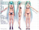  1girl abs anatomy ass back bare_shoulders blush bra breasts character_name character_profile character_sheet collarbone english female from_behind full_body green_hair hatsune_miku height_chart high_heels hips kneepits legs long_hair multiple_views navel outstretched_arm outstretched_hand panties profile shoes small_breasts solo text toe_cleavage toned turnaround twintails underwear underwear_only very_long_hair vocaloid white_background wokada 