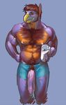  anthro avian beak biceps big big_penis bird blue_background boxers brown_hair chest_tuft clothing drink falcon_mccooper falcon_mccooper_(character) feathers fur grin hair hyper hyper_penis looking_at_viewer male milk muscles nipples nude pecs penis plain_background pose presenting red_eyes smile solo standing topless tuft underwear vein 