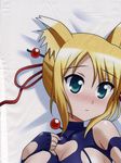  dakimakura dog_days partial_scan stitchme tagme 