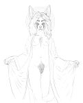  absurd_res anonymous_artist anthro arvo_soborov blanford&#039;s_fox breasts canid canine chest_tuft claws clothed clothing deity eye_markings female fox genitals hair halo hi_res legs_together long_hair looking_at_viewer mammal manly markings navel nipples pubes pubic_fuzz pussy robe robe_lift robe_only sketch skimpy solo tomboy true_fox tuft 