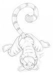  cat feline female lying mammal on_front os panties sketch solo tiger topless underwear 