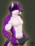  anthro balls biceps big_muscles black_hair black_nose blue_eyes bulge canine chest_tuft clothing ear_piercing efenrai erection erection_under_clothes folf fox fur grin hair hybrid looking_at_viewer male mammal muscles open_pants pants pecs penis piercing pose presenting purple_fur purple_hair rope shyloc smile solo standing toned topless tuft underwear white_fur wolf 