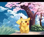  ??? blossoms cherry coken cute grass nintendo outside pikachu pok&#233;mon pok&eacute;mon smile solo tree video_games 