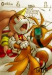  1boy 1girl aku_tojyo colored cream_the_rabbit furry miles_prower orgasm sega sex sonic_the_hedgehog 