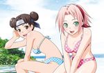  :d between_legs bikini blue_bikini breasts brown_eyes brown_hair cleavage collarbone day double_bun green_eyes hand_between_legs hand_in_hair haruno_sakura headband long_hair looking_at_viewer medium_breasts multiple_girls nanji3 naruto naruto_(series) ocean open_mouth outdoors pink_bikini pink_hair polka_dot polka_dot_bikini shiny shiny_skin short_hair sideboob sitting smile swimsuit tenten 