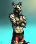  abs anthro biceps black_fur black_nose blue_background body_markings boxers bulge canine chest_tuft crossed_arms fur green_eyes grey_fur grin hi_res invalid_color looking_at_viewer male mammal markings muscles pecs plain_background pose simple_background smile solo standing stripes topless tuft underwear vallhund wolf 
