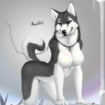  &lt;3 2013 anthro bent_over black_fur blue_eyes bone breasts brown_eyes butt canine chain collar dog ears_up female fur heterochromia husky leash looking_at_viewer mammal nnecgrau nude solo white_fur wolf 