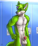  abs animal_genitalia anthro balls biceps big_muscles black_nose bottomless canine canine_penis chest_tuft ear_piercing fox fur green_eyes green_fur green_hair grin hair half-erect locker_room male mammal muscles nude pecs penis penis_tip piercing pose presenting sheath smile solo standing topless tuft vallhund white_fur yoogain 