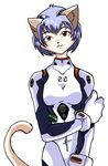  blue_hair cat clothed clothing feline female hair human looking_at_viewer mammal neon_genesis_evangelion pawmark pawmarks plain_background plugsuit red_eyes rei_ayanami smile solo white_background 