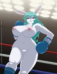  big_breasts boxer boxing_gloves breasts desingahv female fighter fighting_ring gloves lagomorph lapine legwear looking_at_viewer looking_down low-angle_shot mammal navel nipples nude pussy rabbit red_eyes smile solo stockings white_pussy 