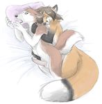  bed canine dog duo erection fox gay hair husky keihound male mammal moan penis pillow 