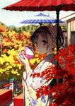  1girl absurdres ball blurry blush brown_hair butterfly_hair_ornament depth_of_field fingernails flower hair_flower hair_ornament highres huge_filesize japanese_clothes kantoku kimono long_fingernails looking_at_viewer parasol ponytail purple_eyes scan smile solo umbrella unbrella 