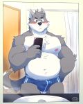  2018 anthro bathtub blue_eyes blush bulge canine cellphone clothed clothing front_view fur grey_fur hi_res holding_object inside itsbooshie looking_down male mammal musclegut navel nipples o-ro phone sink solo standing topless underwear white_fur 