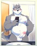  2018 anthro balls bathtub blue_eyes blush canine cellphone erection front_view fur grey_fur hi_res holding_object humanoid_penis inside itsbooshie looking_down male mammal musclegut navel nipples nude o-ro penis phone sink solo standing uncut vein veiny_penis white_fur 