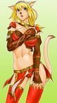  animal_ears bad_id bad_pixiv_id blonde_hair cat_ears doku_sasori final_fantasy final_fantasy_xi mithra solo tail thighhighs 