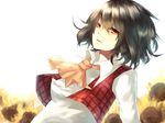  ascot bad_id bad_pixiv_id flower green_hair kazami_yuuka neota plaid plaid_vest reclining red_eyes ribbon short_hair skirt solo sunflower touhou upper_body vest white_background 