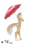  breasts canine female fox mammal nude side_boob solo tassy umbrella 