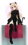  animal_ears dress nekomimi niro pantsu tail thighhighs 