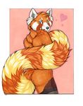  &lt;3 ambiguous_gender anthro blue_eyes butt invalid_tag korrok legwear looking_at_viewer looking_back mammal pinup pose red_panda solo stockings 