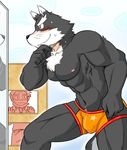  anthro biceps blush bulge canine chest chest_tuft cotton_(artist) fur grey_fur grin hair looking_at_mirror male mammal mirror muscles nipples paws pecs plain_background pose smile solo speedo standing sweat swimsuit tooboe_bookmark topless tuft underwear white_fur wolf 