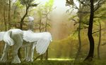  bad_id bad_pixiv_id centaur copyright_request forest furumi_shouichi grass highres nature pegasus white_hair wings 
