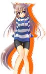  absurdres animal_ears bike_shorts blue_eyes dog_ears fang highres long_hair mizunoe_kotaru original solo striped striped_sweater sweater tail 