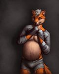  belly black_nose bulge canine chubby clothing cyan_eyes detailed ear_piercing fox front fur grey_background grey_hair hair male mammal multicolor_fur naughty_face navel orange_fur overweight piercing plain_background shirt shorts smile solo standing sugarboy sugerboy two_tone_fur undressing 