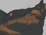  abs anthro balls biceps canine collar cum cumshot doberman dog erection fur lying male mammal muscles navel nipples nude open_mouth orgasm pecs penis sketch solo tongue trogan uncut unfinished 
