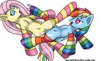  fluttershy friendship_is_magic my_little_pony novaspark rainbow_dash 