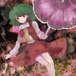  ascot bug butterfly green_hair highres insect kazami_yuuka legs light_smile no_nose parasol red_eyes short_hair skirt skirt_set solo swami touhou umbrella vest 