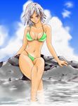  bikini blue_eyes breasts christie_(doa) cleavage day dead_or_alive hybrid_cat large_breasts ocean short_hair swimsuit white_hair 