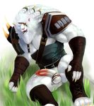  anthro armor balls biceps big_muscles big_penis clothing cum cum_string erection feline fur grass iceman1984 league_of_legends lion male mammal muscles nude pecs penis plain_background pose presenting rengar sheath sitting solo vein white_background white_fur white_lion 