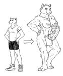  boo3 breast_expansion breasts canine cock_growth gender_shifting gender_transformation happy hyper intersex kieran knot male mammal muscle_growth muscles muscular_intersex penis tg transformation transgender wolf 