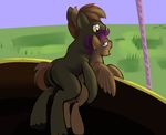  amber_eyes anus balls cub duo equine female feral friendship_is_magic hair horse male mammal my_little_pony open_mouth pegasus penetration pony purple_eyes purple_hair ragingsemi scootaloo_(mlp) sex straight wings young 