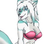  animated blue_eyes bra canine cyan_fur female fur low_res mammal saya-darkmoon skyler-ragnarok tattoo underwear white_belly white_fur wolf 