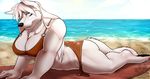  beach big_breasts bikini breasts butt canine cleavage cleo_(yutrah) clothed clothing cloud fasttrack37d female fur hair looking_at_viewer mammal muscles muscular_female seaside sky solo swimsuit thick_thighs tight_clothing white_fur wolf 