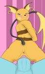  bluec infiniteblue porkyman raichu tagme 