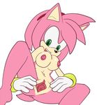  amy_rose sonic_team tagme the_other_half 