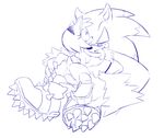  amy_rose ravnic sonic_team sonic_the_werehog tagme 