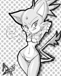  blaze_the_cat cautioncat sonic_team tagme 