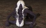  drow dungeons_and_dragons tagme 