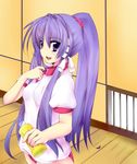  bottle buruma clannad fujibayashi_kyou gym_uniform long_hair momo_(higanbana_and_girl) ponytail purple_eyes purple_hair solo 