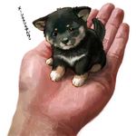  bad_id bad_pixiv_id chobi_(pixiv) dog hands holding in_palm out_of_frame pixiv puppy shiba_inu simple_background toriny translated white_background 