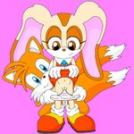  cream_the_rabbit sonic_team tagme tails 