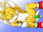  jetfrozen sonic_team tagme tails 